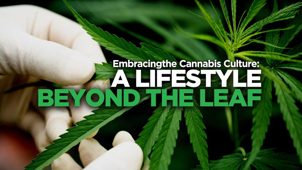 Cannabis Culture & IV20 – A Lifestyle Beyond